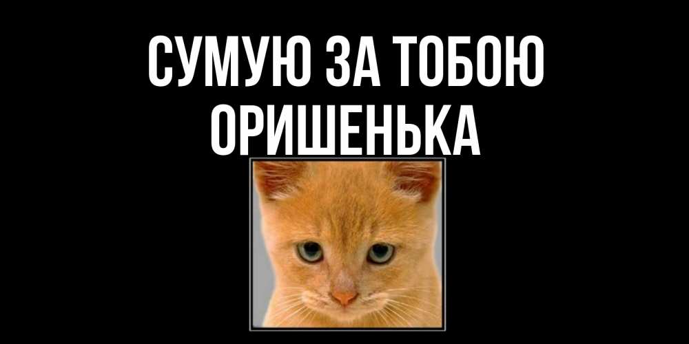 Открытка на каждый день з підписом, Оришенька Сумую за тобою открытки рыжий котенок скучает по тебе Прикольна листівка з побажанням онлайн скачати безкоштовно 
