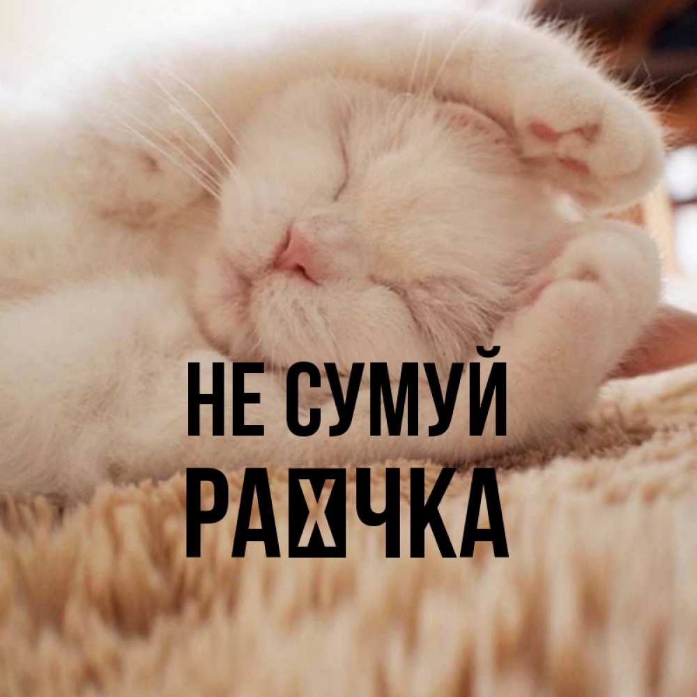 Открытка на каждый день з підписом, Раєчка Не сумуй Котенок спит Прикольна листівка з побажанням онлайн скачати безкоштовно 