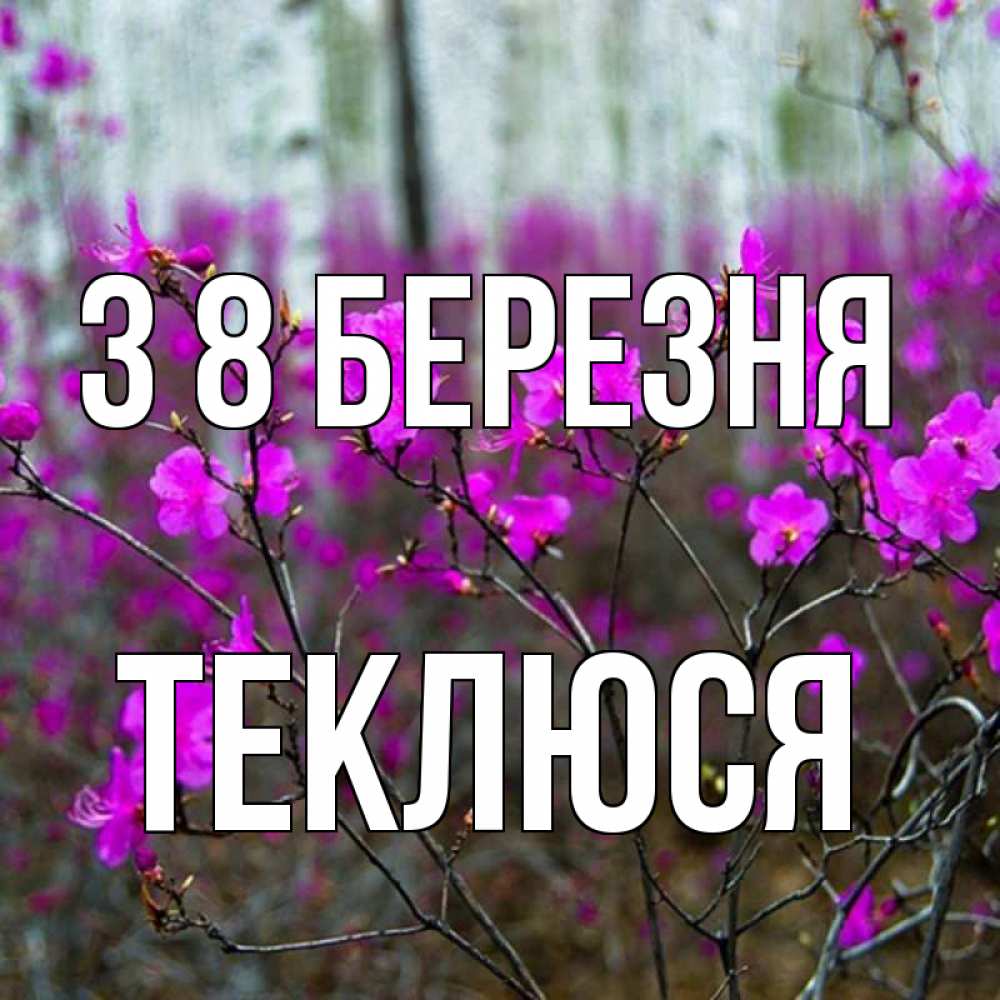 Открытка на каждый день з підписом, Теклюся З 8 БЕРЕЗНЯ дикие цветы Прикольна листівка з побажанням онлайн скачати безкоштовно 