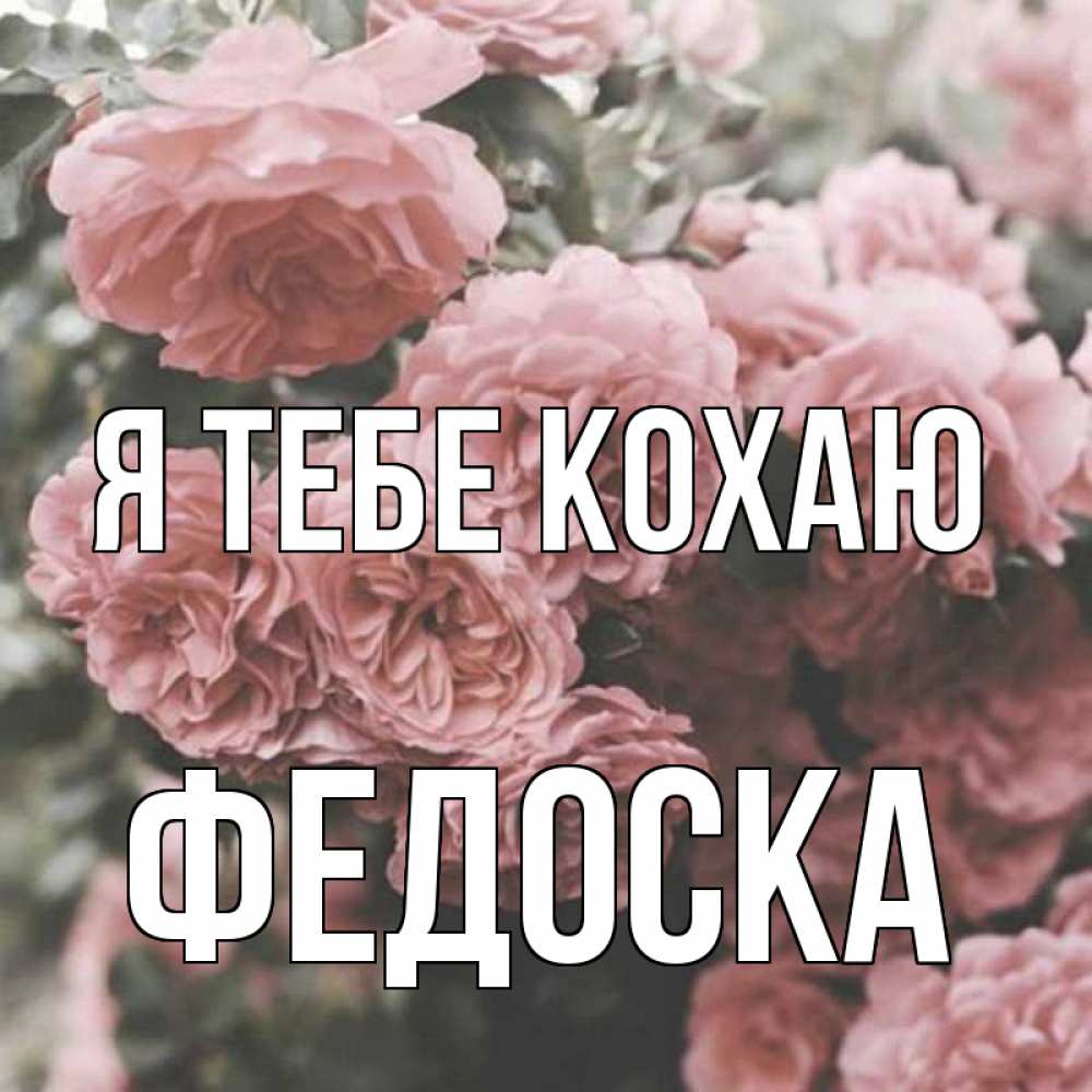 Открытка на каждый день з підписом, Федоска Я тебе кохаю розы 3 Прикольна листівка з побажанням онлайн скачати безкоштовно 