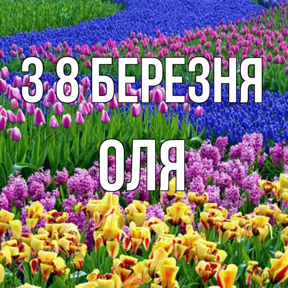 Открытка на каждый день з підписом, Оля З 8 БЕРЕЗНЯ цветы Прикольна листівка з побажанням онлайн скачати безкоштовно 