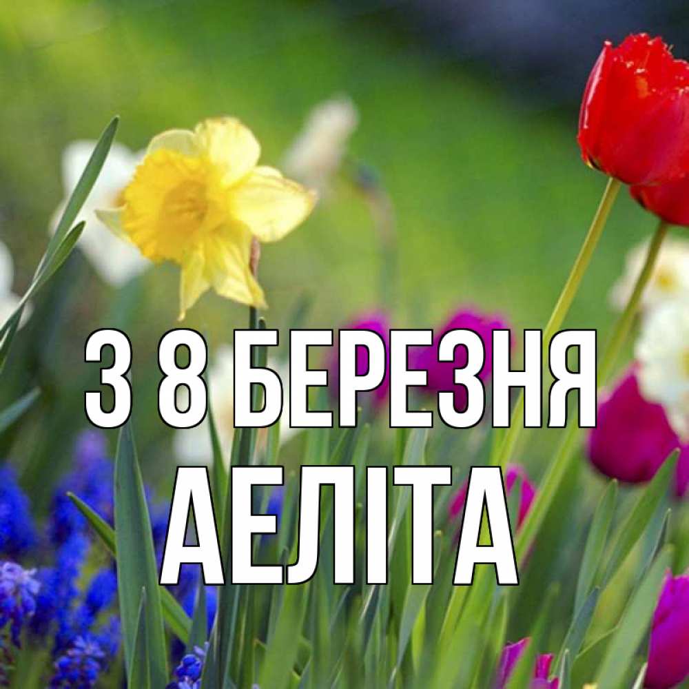 Открытка на каждый день з підписом, Аеліта З 8 БЕРЕЗНЯ международный женский день 3 Прикольна листівка з побажанням онлайн скачати безкоштовно 