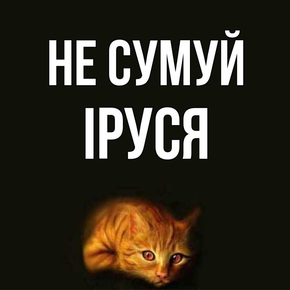 Открытка на каждый день з підписом, Іруся Не сумуй лежащий кот в темноте Прикольна листівка з побажанням онлайн скачати безкоштовно 