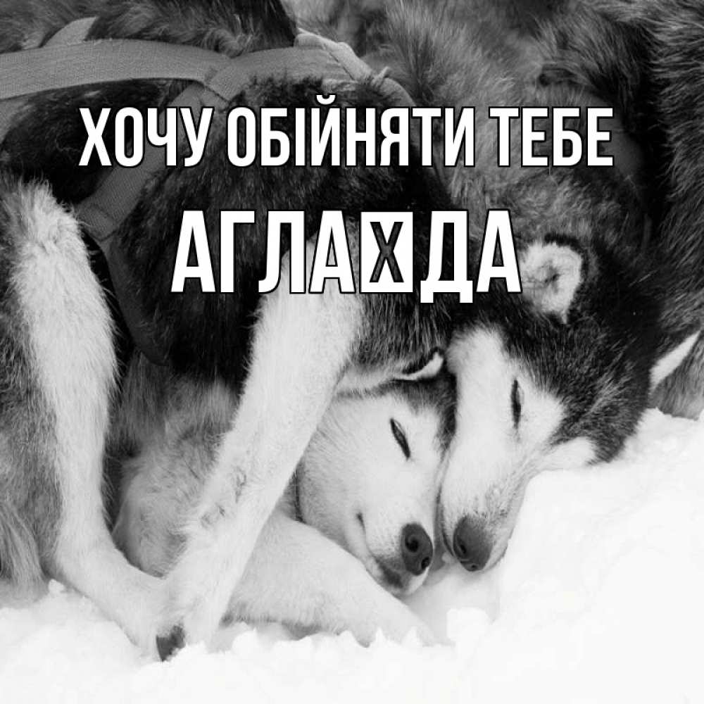 Открытка на каждый день з підписом, Аглаїда Хочу обійняти тебе собачки в упряжке Прикольна листівка з побажанням онлайн скачати безкоштовно 