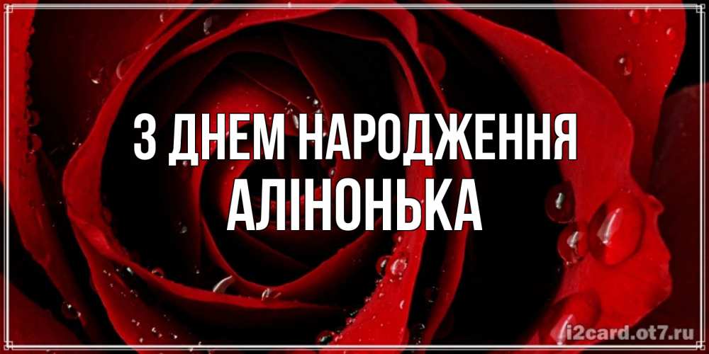 Открытка на каждый день з підписом, Алінонька З Днем народження крупная бордовая роза Прикольна листівка з побажанням онлайн скачати безкоштовно 
