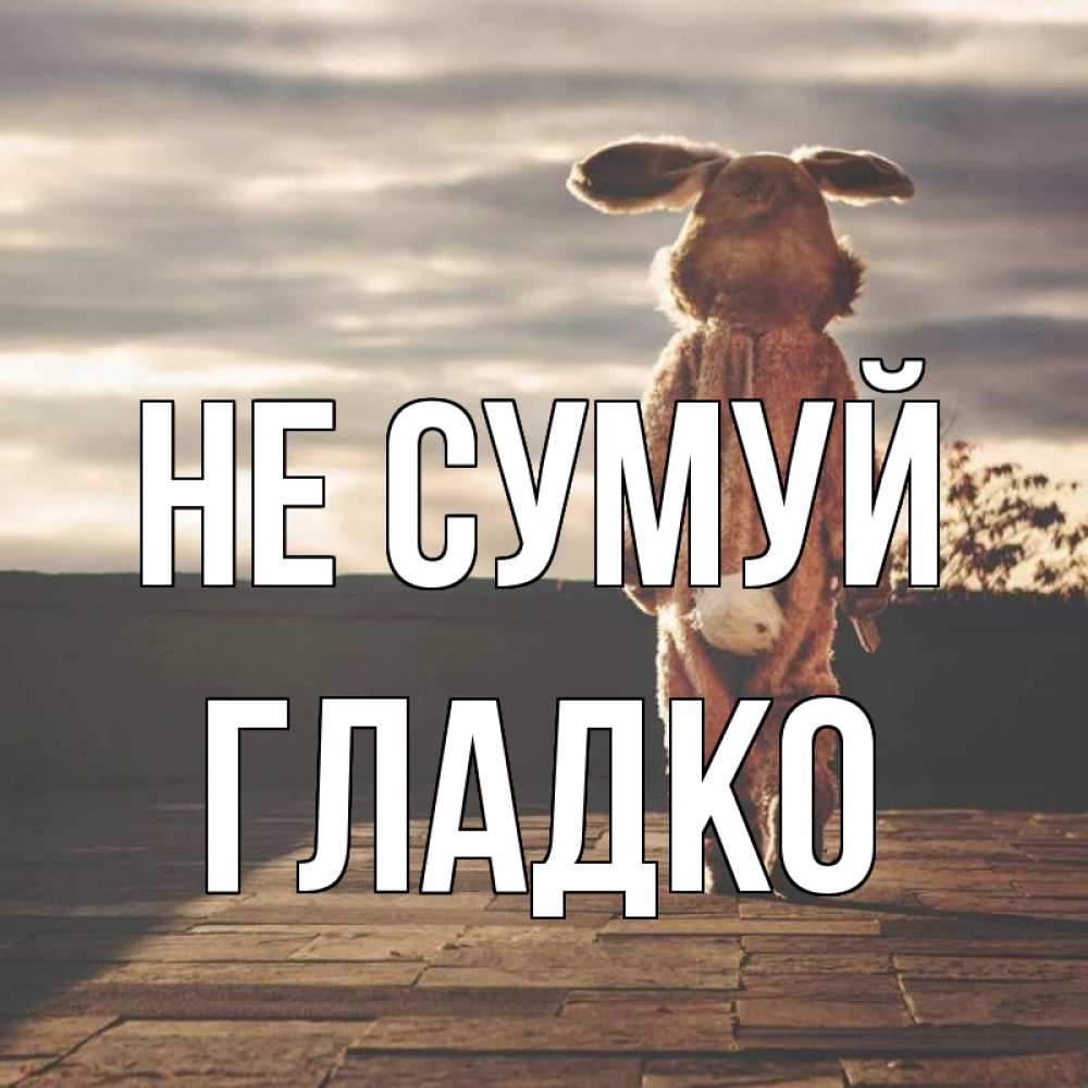 Открытка на каждый день з підписом, Гладко Не сумуй со спины Прикольна листівка з побажанням онлайн скачати безкоштовно 