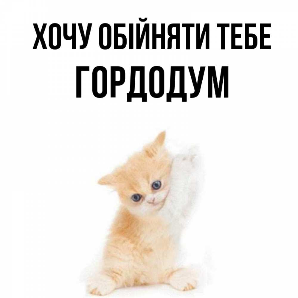 Открытка на каждый день з підписом, Гордодум Хочу обійняти тебе я хочу очень скорее обнимаешек Прикольна листівка з побажанням онлайн скачати безкоштовно 