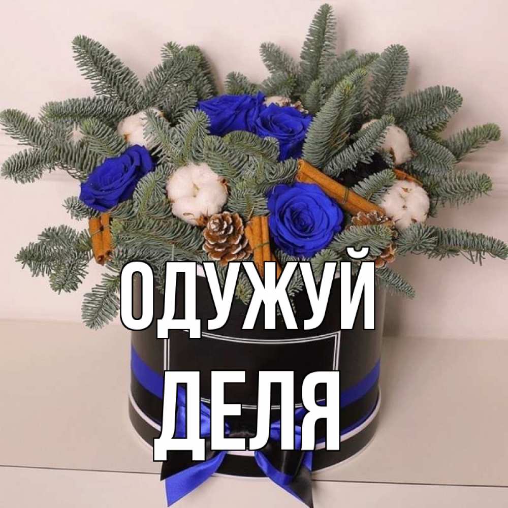Открытка на каждый день з підписом, Деля Одужуй короче кто то загрузил эти шишки Прикольна листівка з побажанням онлайн скачати безкоштовно 