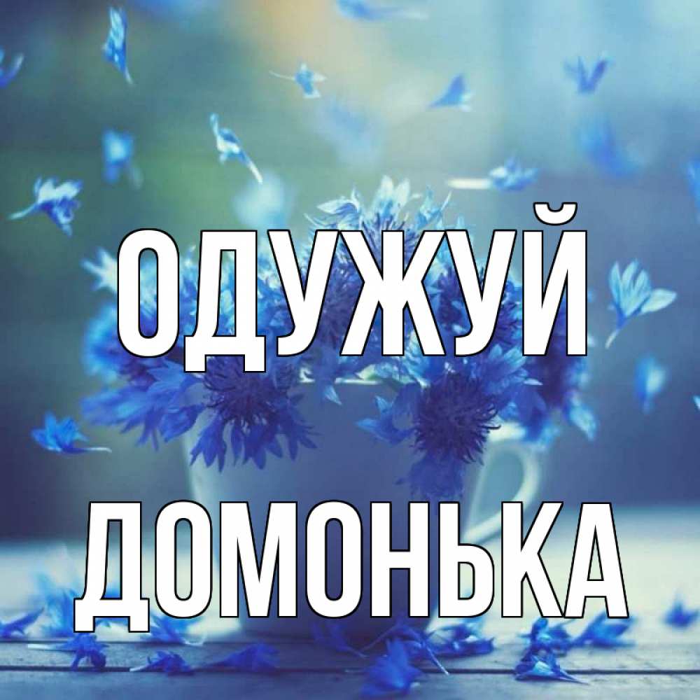 Открытка на каждый день з підписом, Домонька Одужуй кружка с зельем и цветами Прикольна листівка з побажанням онлайн скачати безкоштовно 