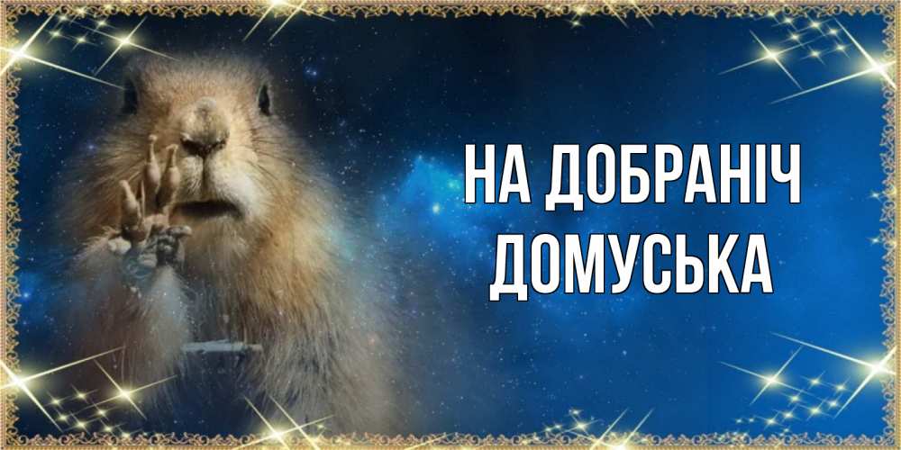 Открытка на каждый день з підписом, Домуська На добраніч спокойной ночи сладких снов Прикольна листівка з побажанням онлайн скачати безкоштовно 