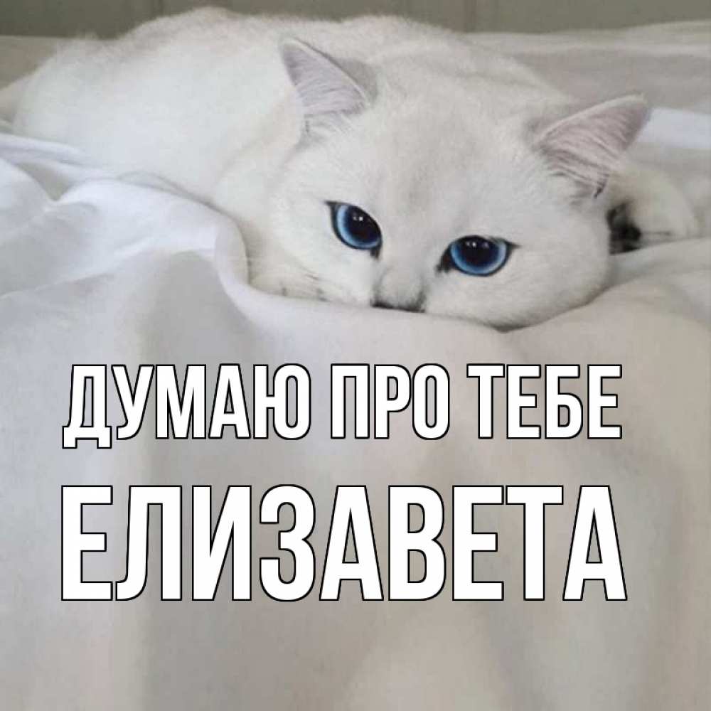 Открытка на каждый день з підписом, Елизавета Думаю про тебе я очень по тебе скучаю и тоскую Прикольна листівка з побажанням онлайн скачати безкоштовно 