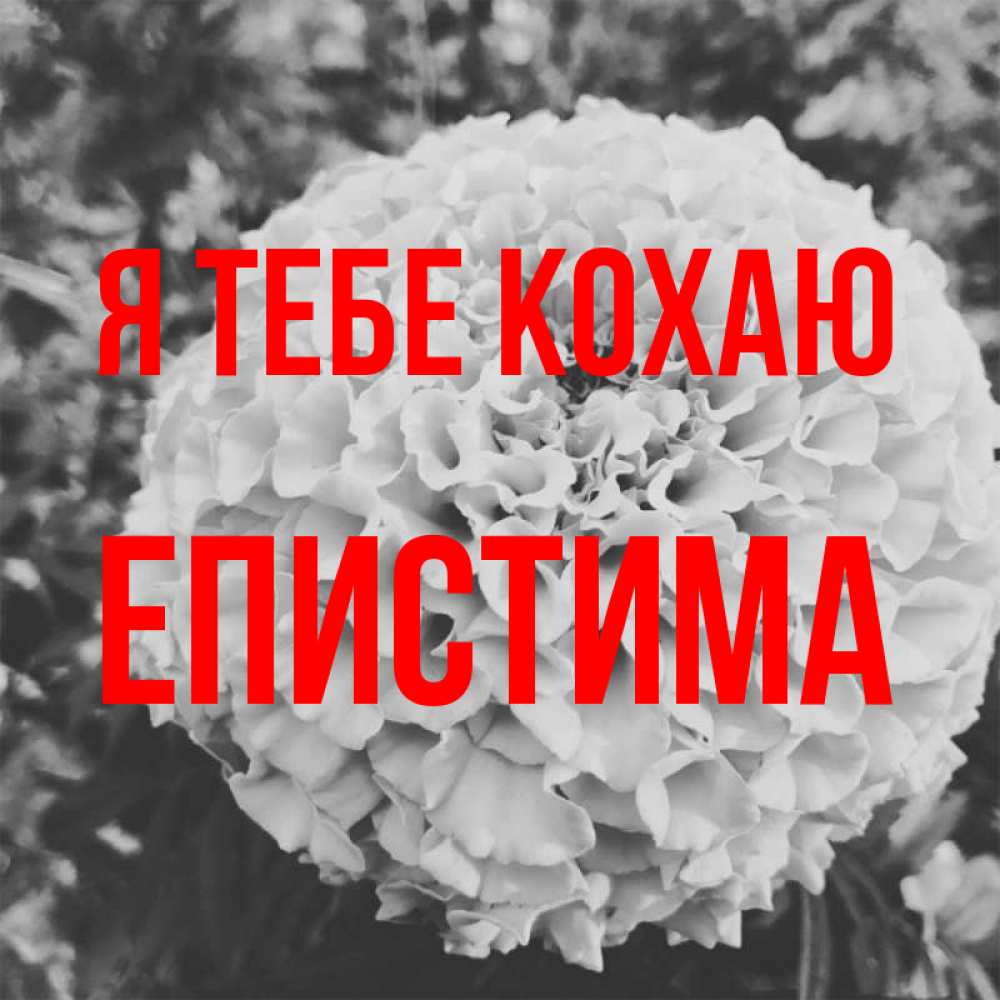 Открытка на каждый день з підписом, Епистима Я тебе кохаю подпись Прикольна листівка з побажанням онлайн скачати безкоштовно 