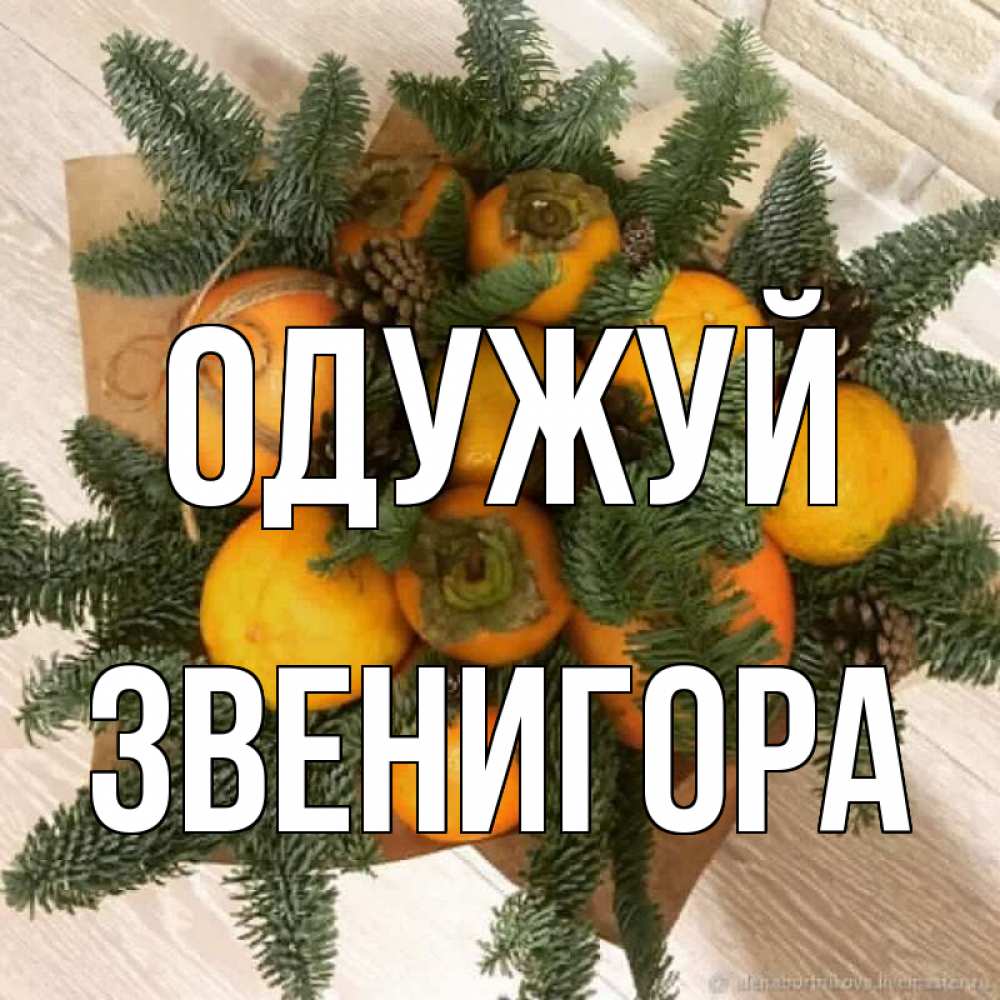 Открытка на каждый день з підписом, Звенигора Одужуй апельсины и хурьма Прикольна листівка з побажанням онлайн скачати безкоштовно 