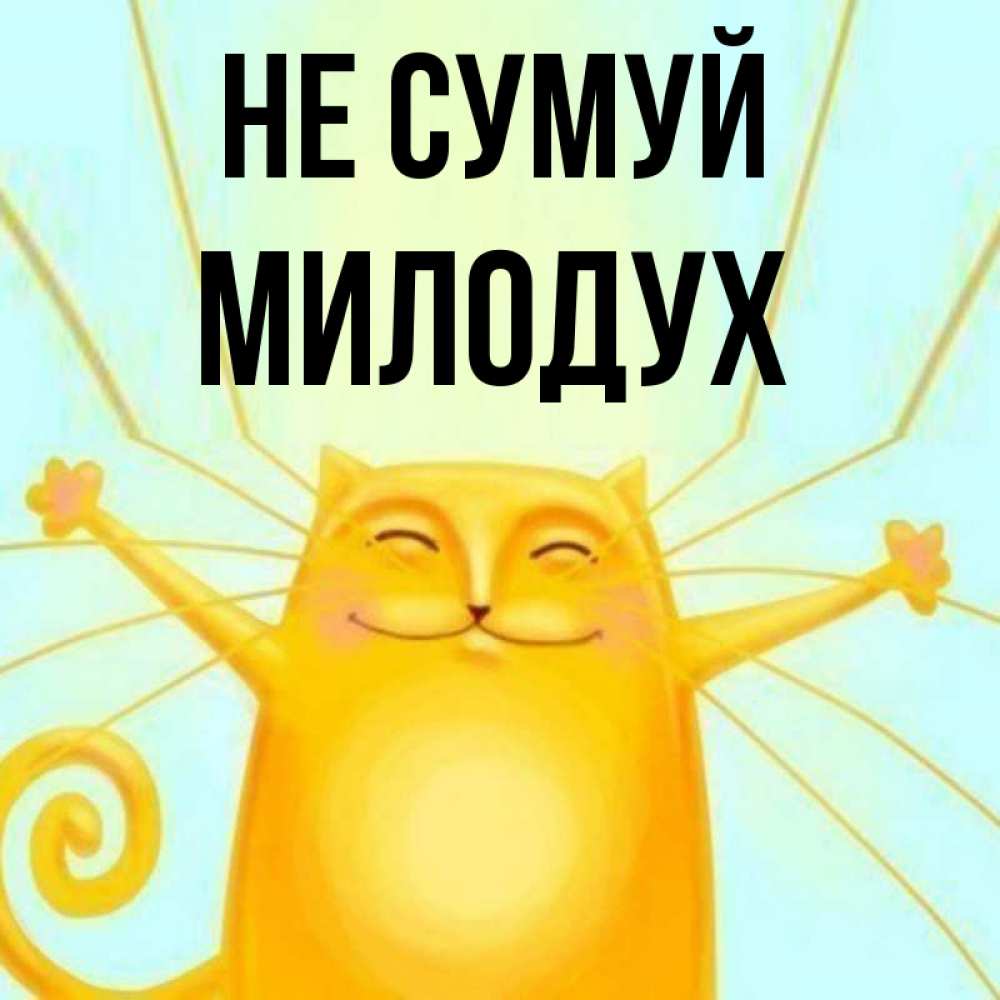 Открытка на каждый день з підписом, Милодух Не сумуй обнимашки усатые Прикольна листівка з побажанням онлайн скачати безкоштовно 