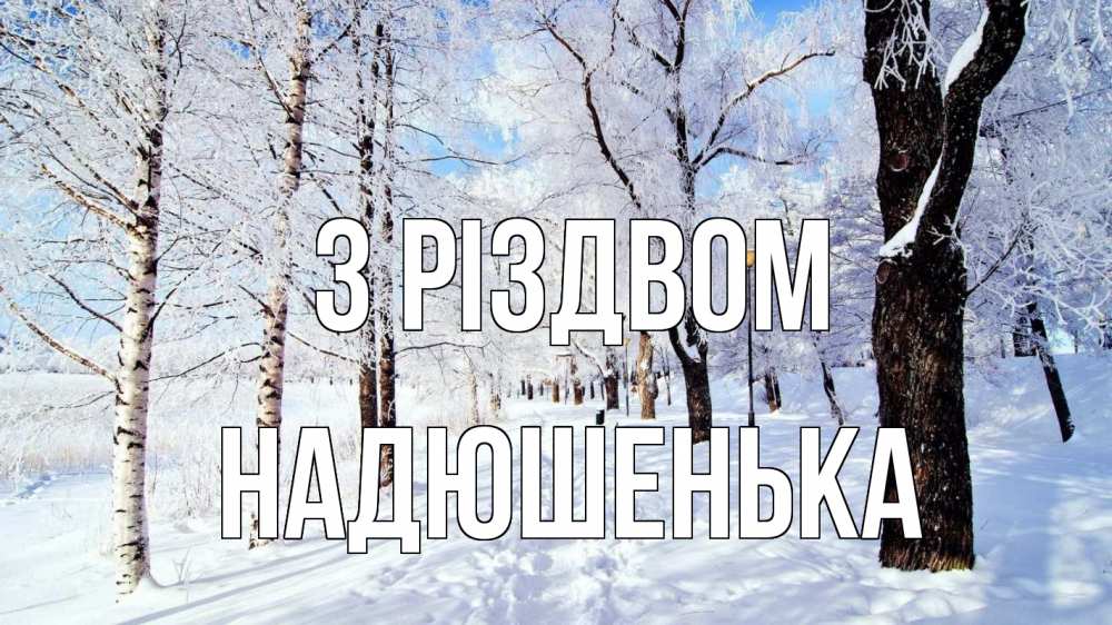 Открытка на каждый день з підписом, Надюшенька З Різдвом зимний лес Прикольна листівка з побажанням онлайн скачати безкоштовно 