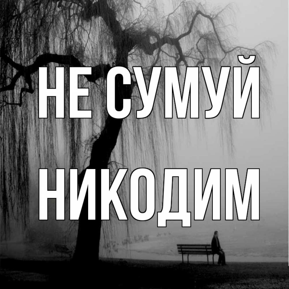 Открытка на каждый день з підписом, Никодим Не сумуй висящие ветки дерева и лавочка под деревом Прикольна листівка з побажанням онлайн скачати безкоштовно 