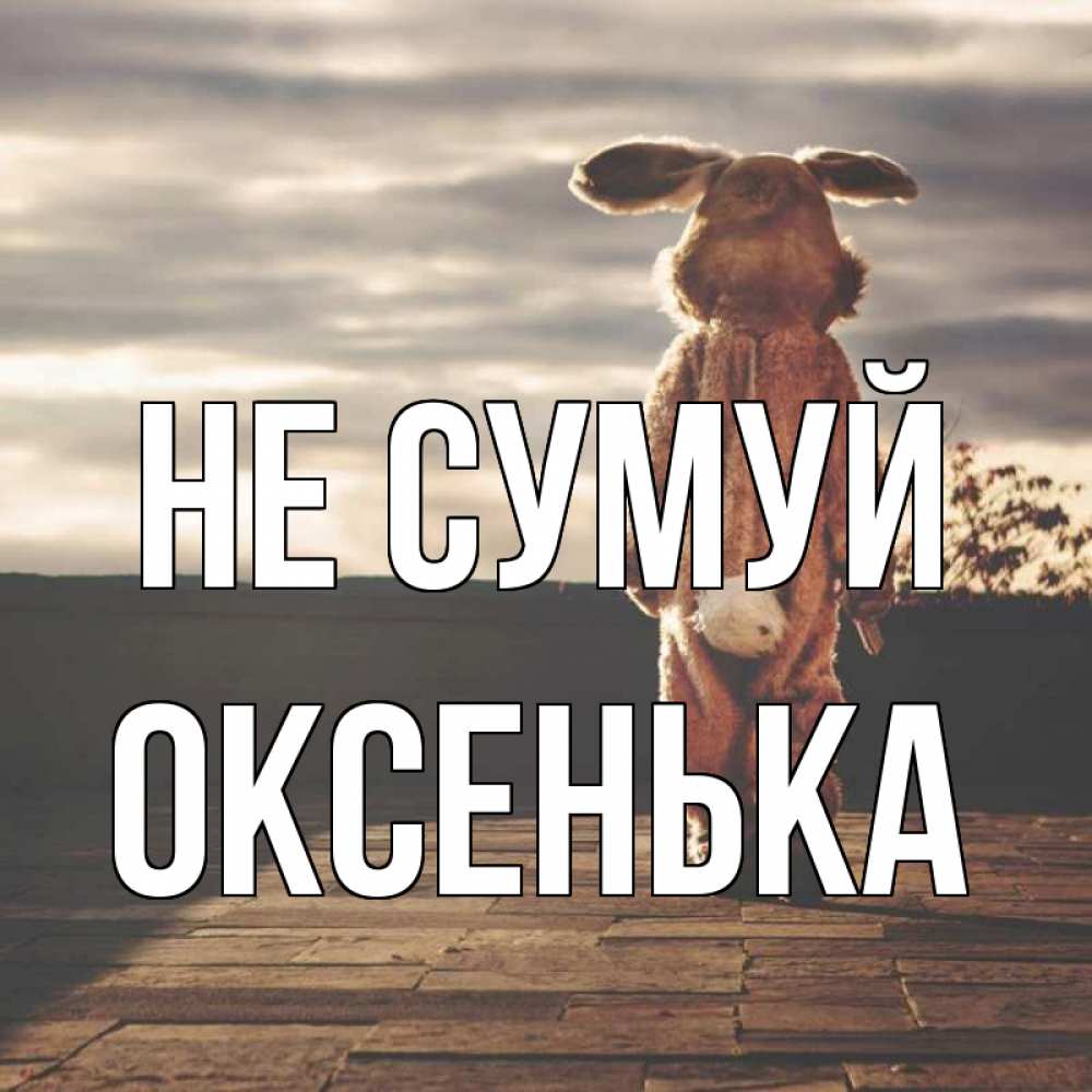 Открытка на каждый день з підписом, Оксенька Не сумуй со спины Прикольна листівка з побажанням онлайн скачати безкоштовно 