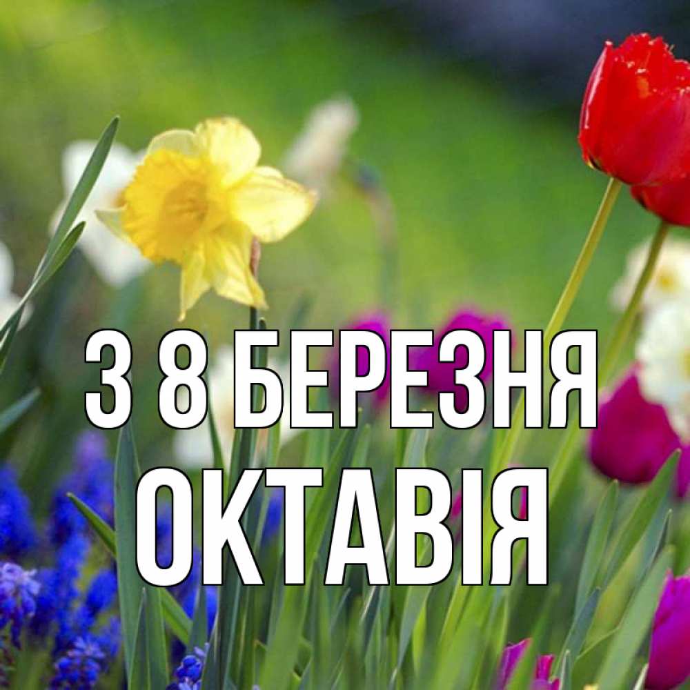 Открытка на каждый день з підписом, Октавія З 8 БЕРЕЗНЯ международный женский день 3 Прикольна листівка з побажанням онлайн скачати безкоштовно 