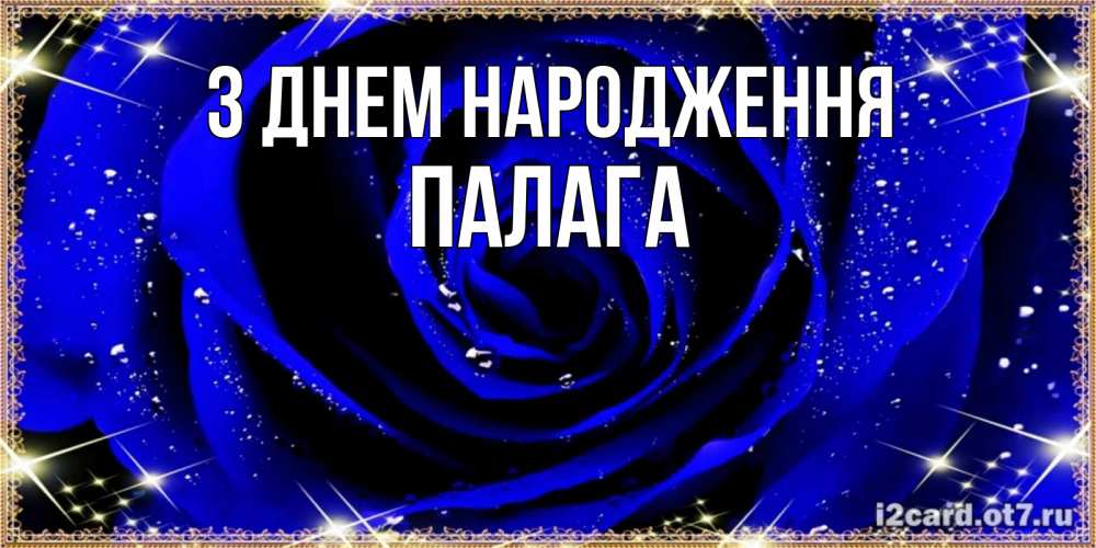 Открытка на каждый день з підписом, Палага З Днем народження голубые цветы в росе Прикольна листівка з побажанням онлайн скачати безкоштовно 
