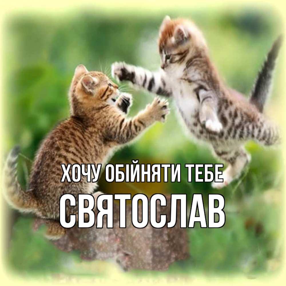 Открытка на каждый день з підписом, Святослав Хочу обійняти тебе игры котят Прикольна листівка з побажанням онлайн скачати безкоштовно 
