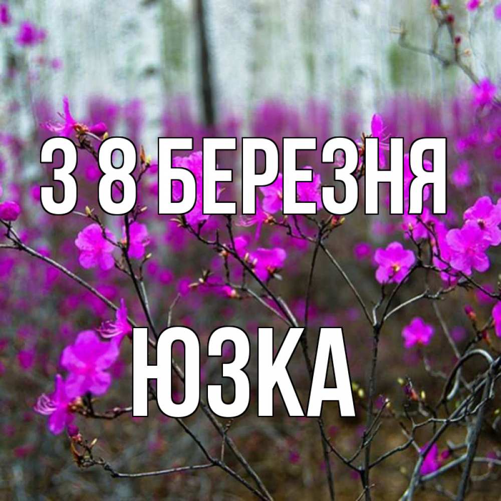 Открытка на каждый день з підписом, Юзка З 8 БЕРЕЗНЯ дикие цветы Прикольна листівка з побажанням онлайн скачати безкоштовно 