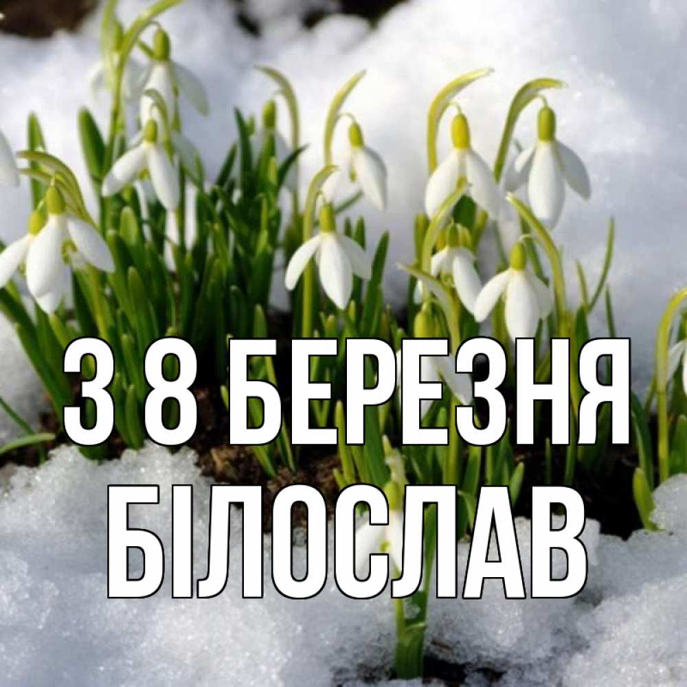 Открытка на каждый день з підписом, Білослав З 8 БЕРЕЗНЯ цветы весенние Прикольна листівка з побажанням онлайн скачати безкоштовно 