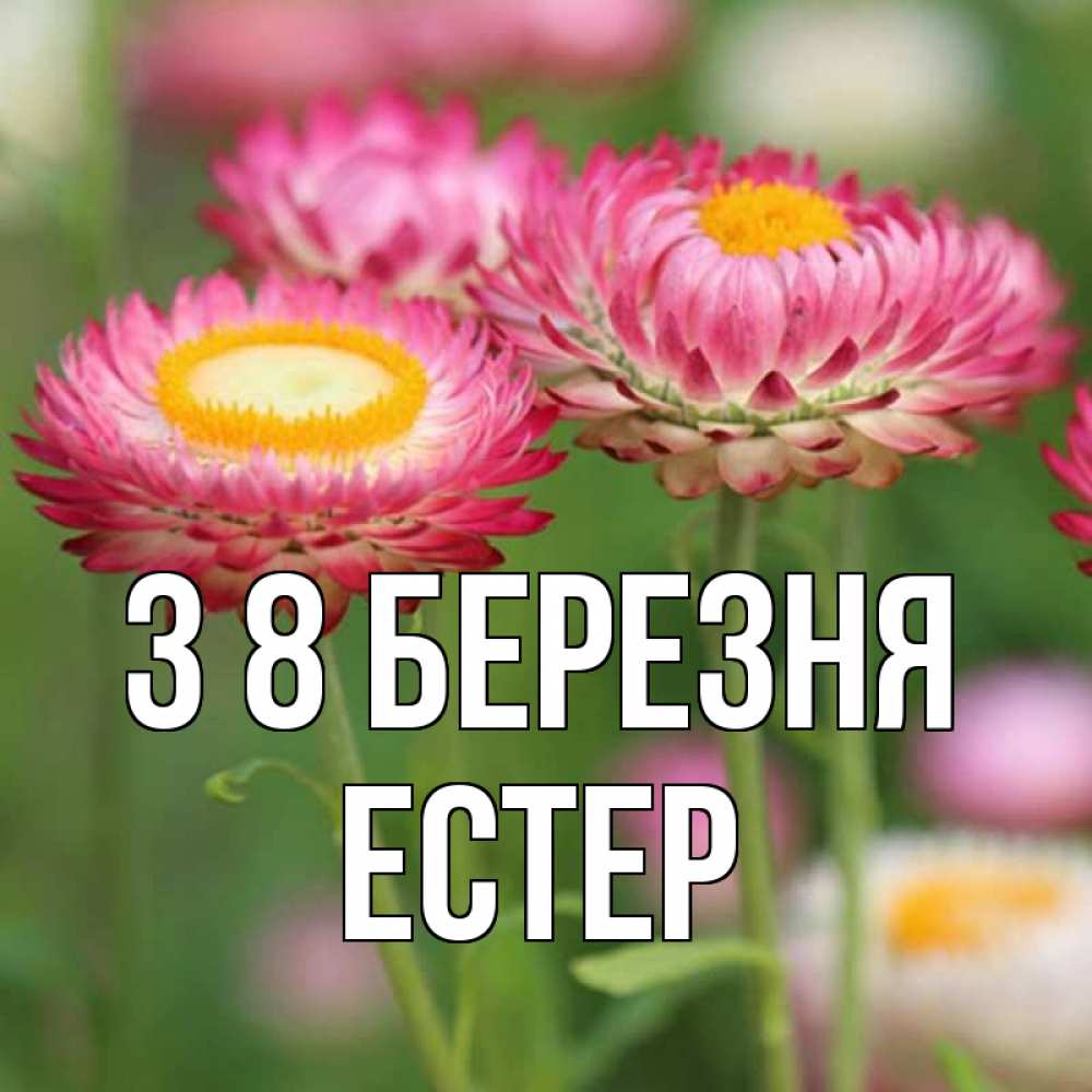 Открытка на каждый день з підписом, Естер З 8 БЕРЕЗНЯ подарок на международный женский день Прикольна листівка з побажанням онлайн скачати безкоштовно 