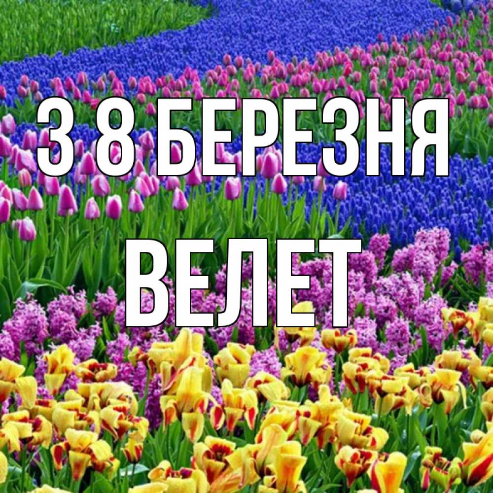 Открытка на каждый день з підписом, Велет З 8 БЕРЕЗНЯ цветы Прикольна листівка з побажанням онлайн скачати безкоштовно 