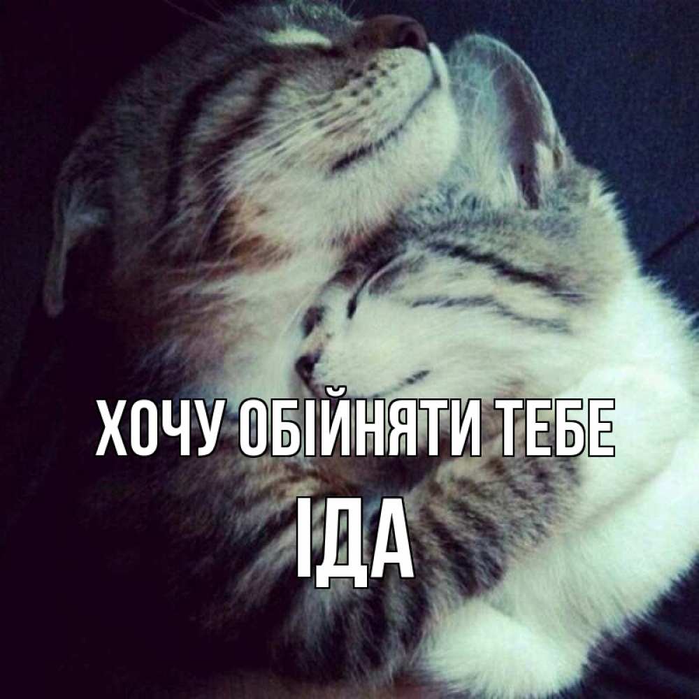 Открытка на каждый день з підписом, Іда Хочу обійняти тебе полосатики Прикольна листівка з побажанням онлайн скачати безкоштовно 