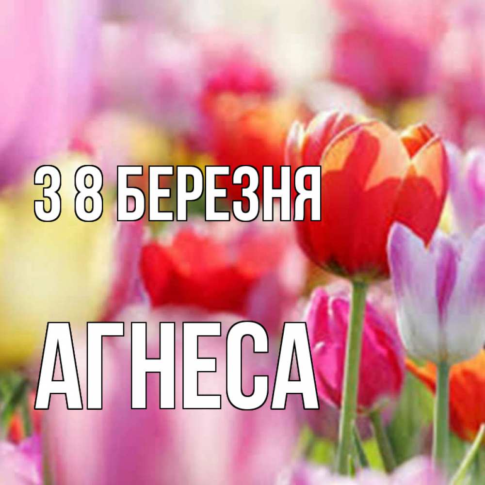 Открытка на каждый день з підписом, Агнеса З 8 БЕРЕЗНЯ на международный женский день 2 Прикольна листівка з побажанням онлайн скачати безкоштовно 