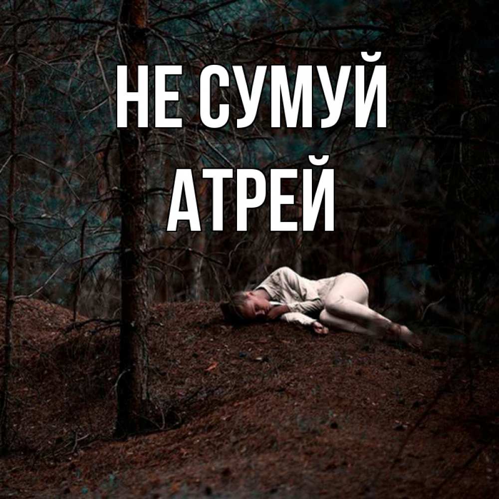 Открытка на каждый день з підписом, Атрей Не сумуй лес Прикольна листівка з побажанням онлайн скачати безкоштовно 