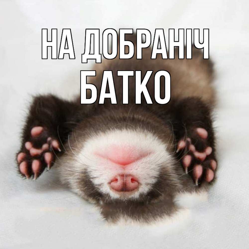 Открытка на каждый день з підписом, Батко На добраніч зверек Прикольна листівка з побажанням онлайн скачати безкоштовно 