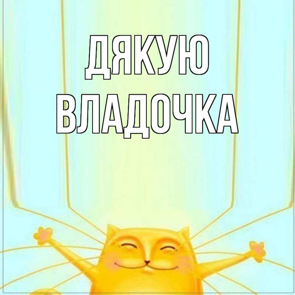 Открытка на каждый день з підписом, Владочка Дякую кот с усами благодарит Прикольна листівка з побажанням онлайн скачати безкоштовно 