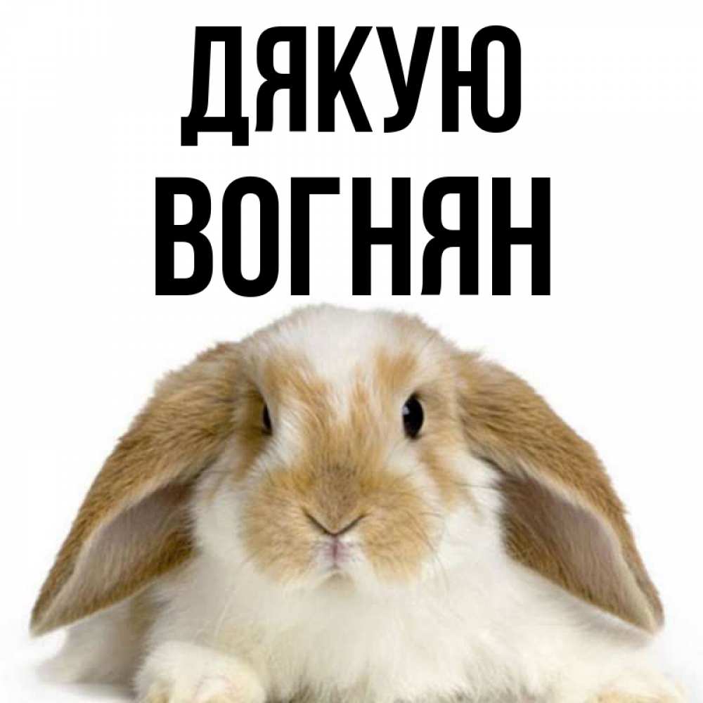 Открытка на каждый день з підписом, Вогнян Дякую коричнево белый заяц Прикольна листівка з побажанням онлайн скачати безкоштовно 