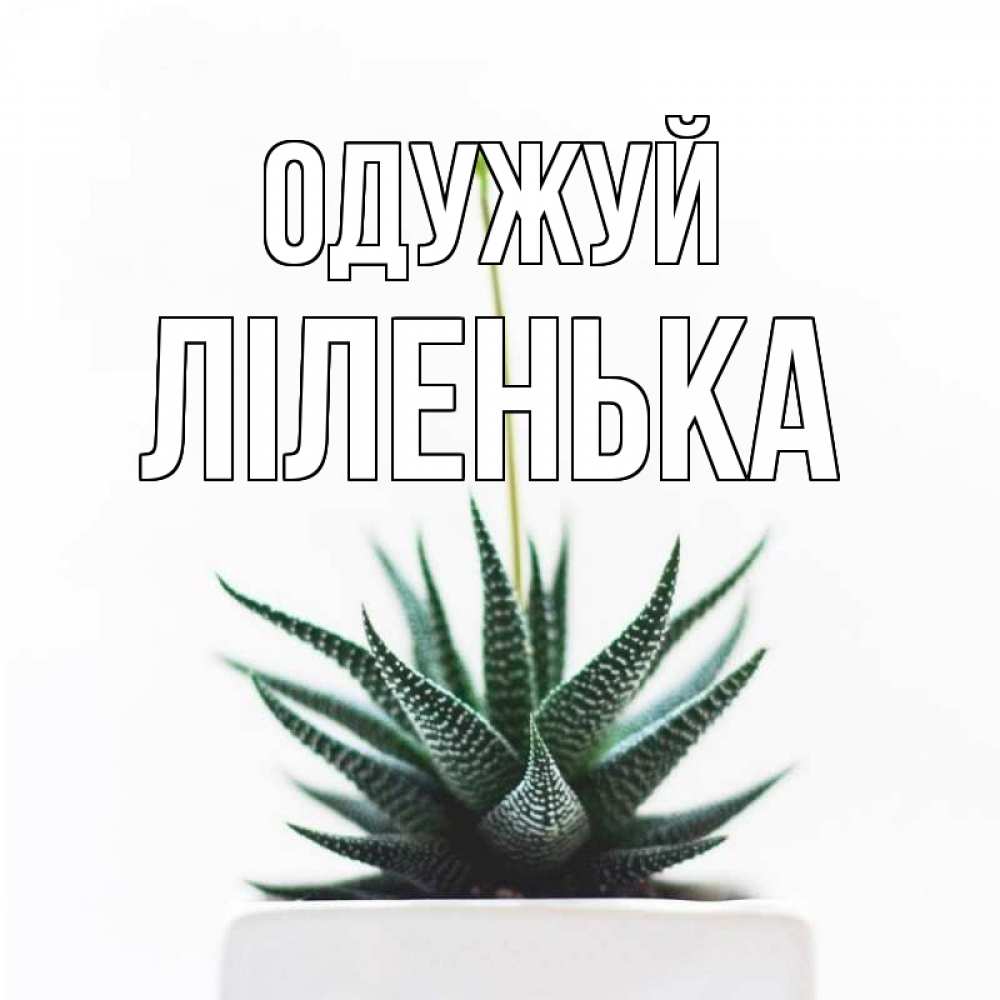 Открытка на каждый день з підписом, Ліленька Одужуй короче это непонятная колючка Прикольна листівка з побажанням онлайн скачати безкоштовно 