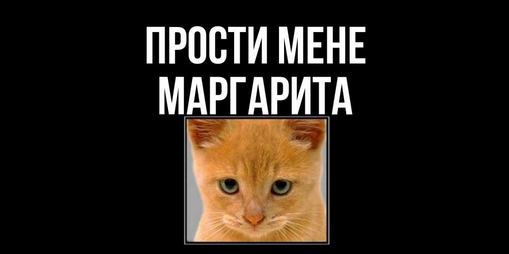 Открытка на каждый день з підписом, Маргарита Прости мене рыжий грустный кот просит прощения Прикольна листівка з побажанням онлайн скачати безкоштовно 
