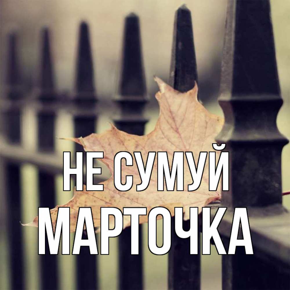 Открытка на каждый день з підписом, Марточка Не сумуй лист клена Прикольна листівка з побажанням онлайн скачати безкоштовно 