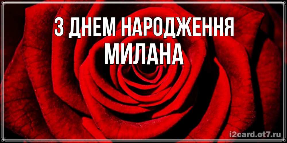 Открытка на каждый день з підписом, Милана З Днем народження алая роза Прикольна листівка з побажанням онлайн скачати безкоштовно 