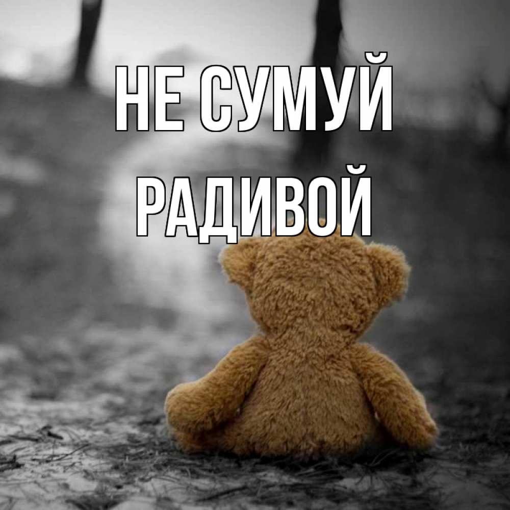 Открытка на каждый день з підписом, Радивой Не сумуй медведь со спин Прикольна листівка з побажанням онлайн скачати безкоштовно 