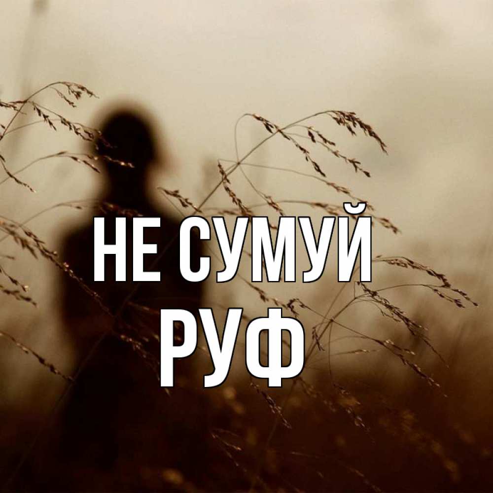 Открытка на каждый день з підписом, Руф Не сумуй грусть Прикольна листівка з побажанням онлайн скачати безкоштовно 