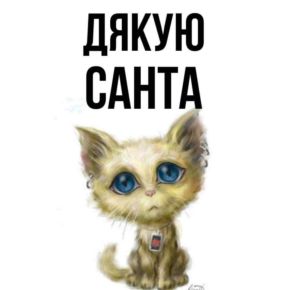 Открытка на каждый день з підписом, Санта Дякую рисованный кот благодарит вас Прикольна листівка з побажанням онлайн скачати безкоштовно 