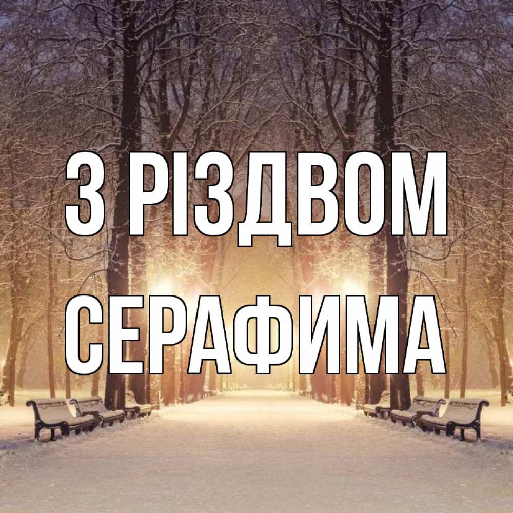 Открытка на каждый день з підписом, Серафима З Різдвом зима, парк, фонарь, лес Прикольна листівка з побажанням онлайн скачати безкоштовно 