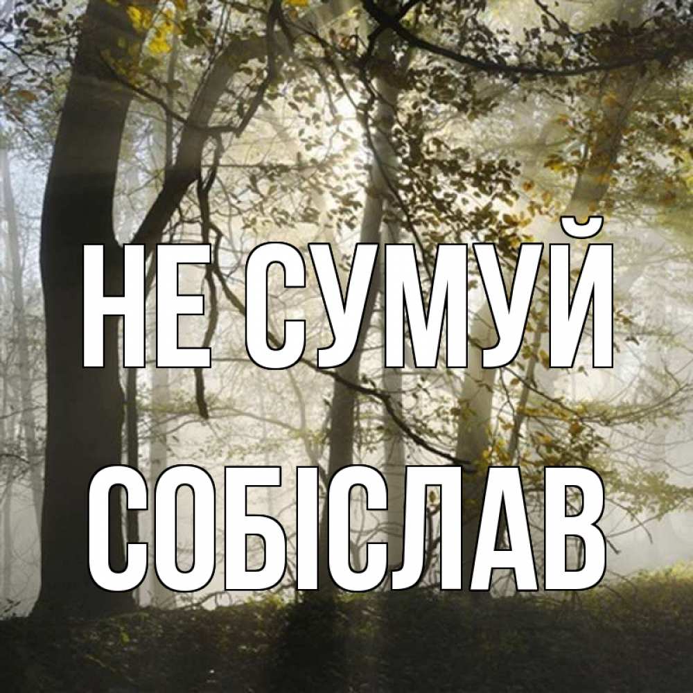 Открытка на каждый день з підписом, Собіслав Не сумуй лес и свет Прикольна листівка з побажанням онлайн скачати безкоштовно 