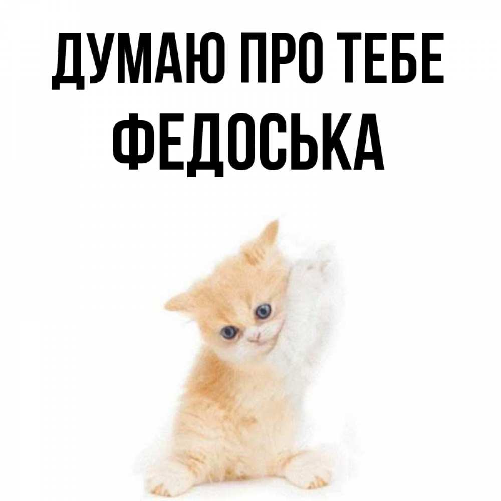 Открытка на каждый день з підписом, Федоська Думаю про тебе зверушки и милота Прикольна листівка з побажанням онлайн скачати безкоштовно 