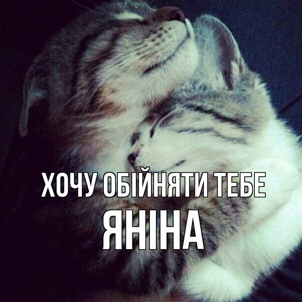 Открытка на каждый день з підписом, Яніна Хочу обійняти тебе полосатики Прикольна листівка з побажанням онлайн скачати безкоштовно 