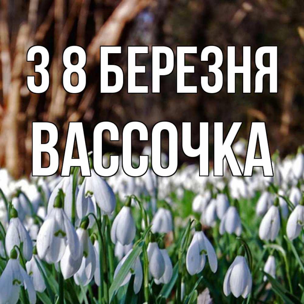 Открытка на каждый день з підписом, Вассочка З 8 БЕРЕЗНЯ с подснежниками 1 Прикольна листівка з побажанням онлайн скачати безкоштовно 