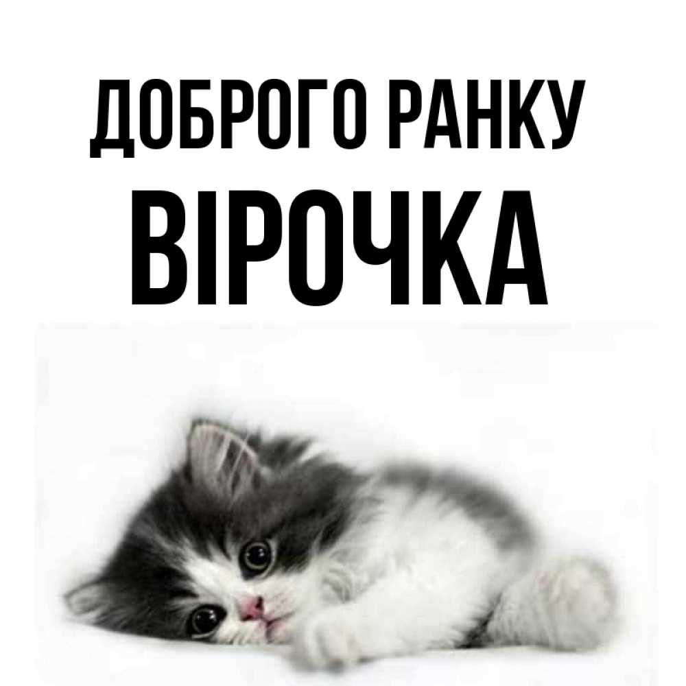 Открытка на каждый день з підписом, Вірочка Доброго ранку кот лапки Прикольна листівка з побажанням онлайн скачати безкоштовно 