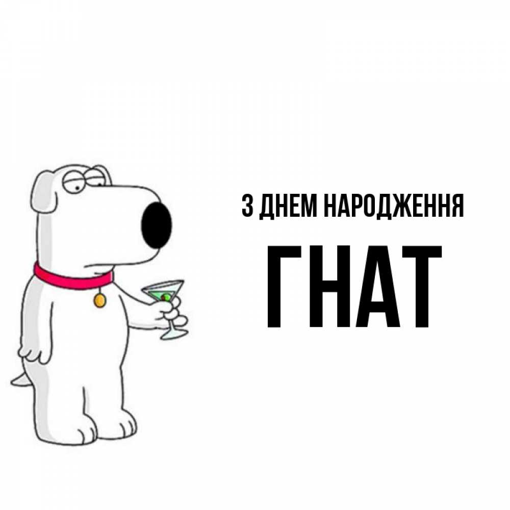 Открытка на каждый день з підписом, Гнат З Днем народження песик с оливками Прикольна листівка з побажанням онлайн скачати безкоштовно 