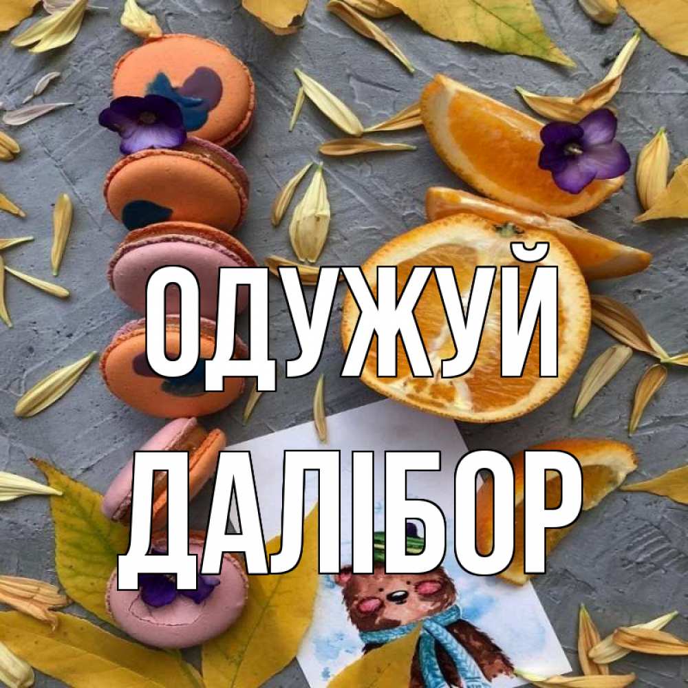 Открытка на каждый день з підписом, Далібор Одужуй не болейте Прикольна листівка з побажанням онлайн скачати безкоштовно 
