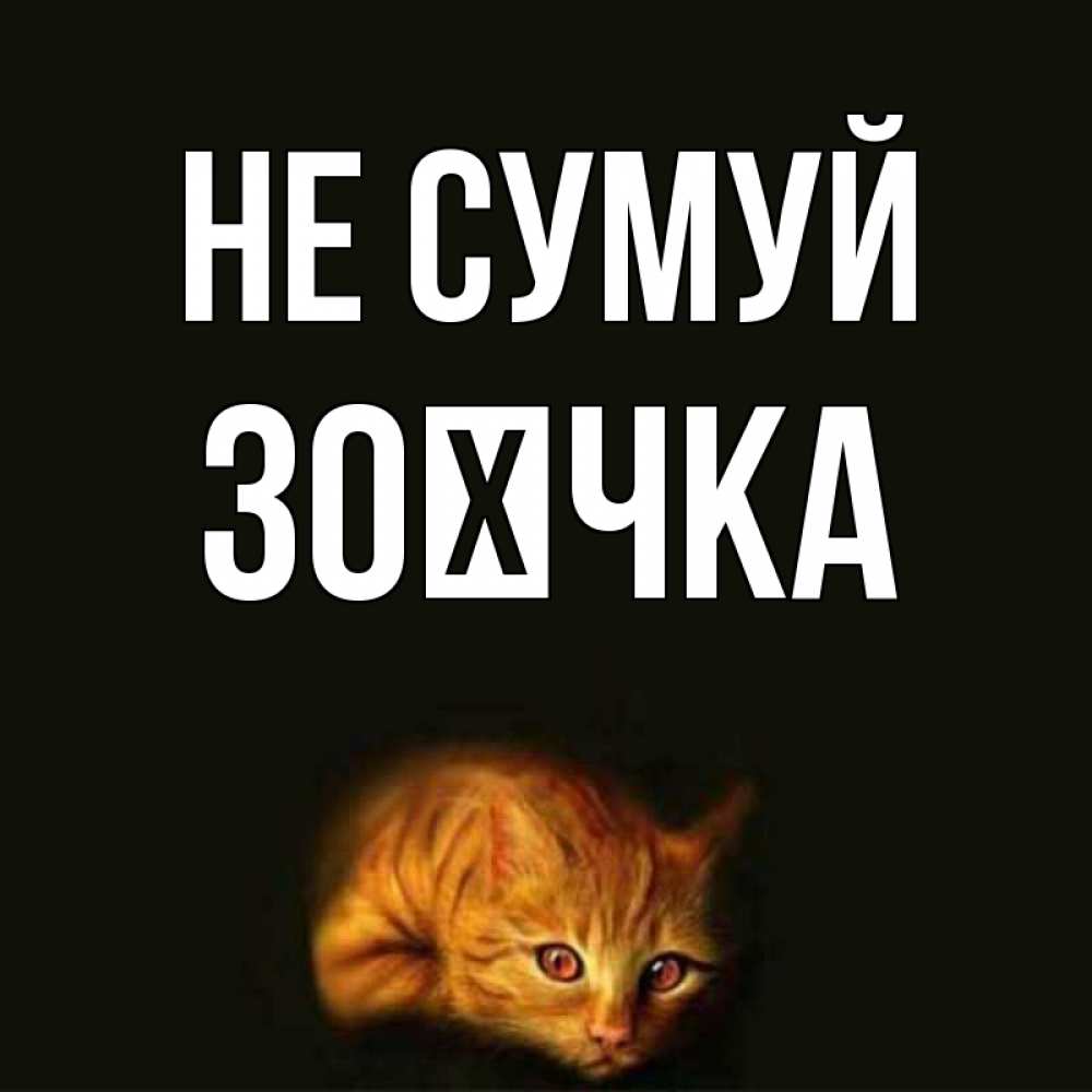 Открытка на каждый день з підписом, Зоєчка Не сумуй лежащий кот в темноте Прикольна листівка з побажанням онлайн скачати безкоштовно 
